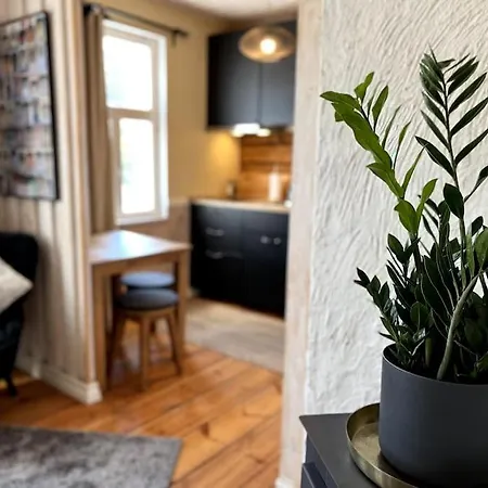 公寓 Garden Next To Telliskivi & Old Town 塔林