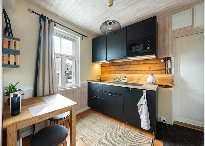 Garden Next To Telliskivi & Old Town Tallinn