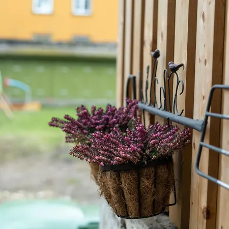 Garden Next To Telliskivi & Old Town Apartamento *